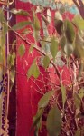 20181216_211829-1.jpg