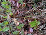 20181215_131239ee.jpg