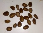 20181229_114007.jpg