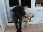 Images appareil photo 533.jpg