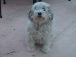 Images appareil photo 177.jpg