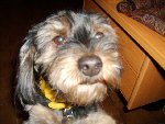 Images appareil photo 126.jpg
