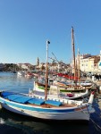IMG_20190119_161902.jpg