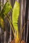 IMG_20190124_161908.jpg