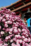 DSC_0165.jpg