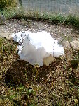 Photo003.jpg