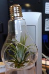 20190213_092737.jpg