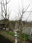 IMG_0541.jpg