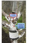 Sans titre 2 - copie.jpg