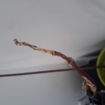 20190217_144028.jpg