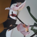20190217_144116.jpg