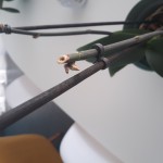 20190217_144155.jpg