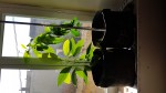 20190221_130056.jpg