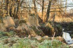 IMG_2482.jpg