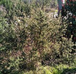 IMG_20190224_120833.jpg