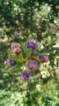 IMG_20190224_115142_684.jpg