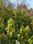 20190224_143614 - Copie.jpg