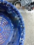 IMG_20190224_181855.jpg