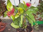 PICT0188.JPG