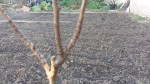 20190225_105831.jpg