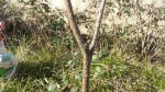 20190225_105804.jpg