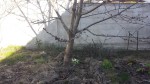 20190225_105726.jpg