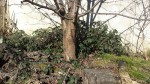 20190225_121451.jpg