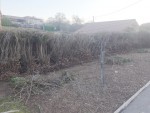 IMG_20190226_072844_HDR.jpg