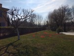 IMG-20190226-WA0009.jpg