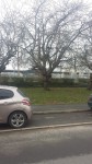 20190302_131005.jpg