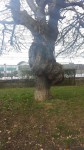 20190302_131130.jpg