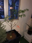 IMG_3576.jpeg