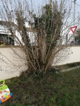 IMG_20190228_174446.jpg