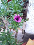 2019-03-05 18.33.37 (Copier).jpg