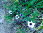 IMG_20190307_085447.jpg