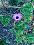 IMG_20190307_085458.jpg