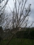 IMG_20190306_182136.jpg