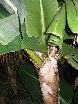 PC070125.JPG