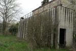 Mur à camoufler (1).JPG