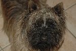 20081206 stitch.JPG