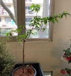 IMG_9770.jpg