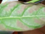 DSCN1741.JPG
