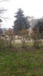 20190318_105325.jpg