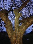 IMG_4763.jpg