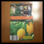rps20190319_205911.jpg