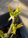 20190321_164720.jpg