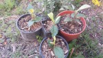 20190322_171036.jpg