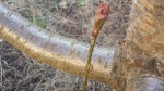 20190322_171241.jpg