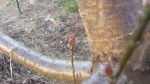 20190322_171222.jpg