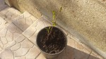 20190322_170844.jpg